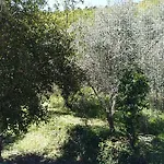 Ca' Do Diao Agroturismo
