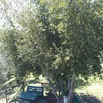Ca' Do Diao Onzo