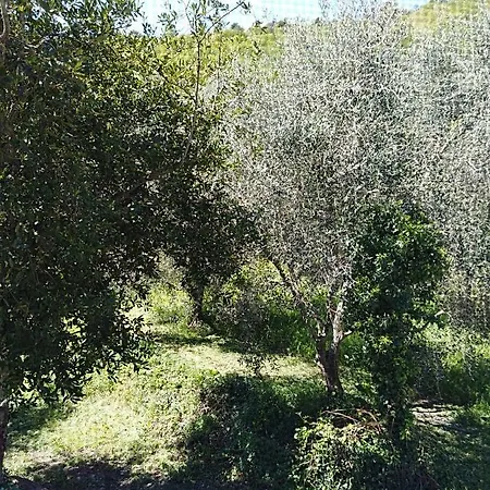 Ca' Do Diao Farm stay