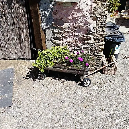 农家乐 Ca' Do Diao *