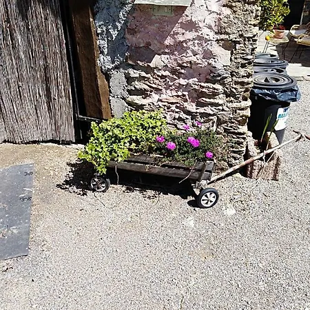 Farm stay Ca' Do Diao *