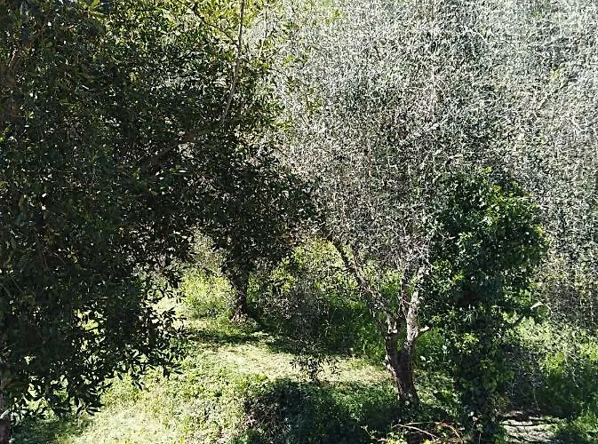 Ca' Do Diao Bauernhof